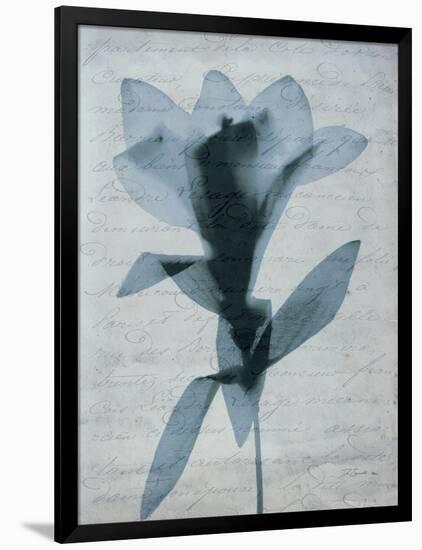 Beauty of Light Blue 4-Dan Zamudio-Framed Art Print