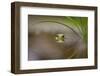 Beauty of Reflection-Kutub Uddin-Framed Photographic Print