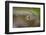 Beauty of Reflection-Kutub Uddin-Framed Photographic Print