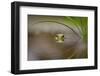 Beauty of Reflection-Kutub Uddin-Framed Photographic Print