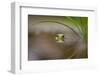 Beauty of Reflection-Kutub Uddin-Framed Photographic Print