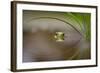 Beauty of Reflection-Kutub Uddin-Framed Photographic Print