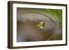 Beauty of Reflection-Kutub Uddin-Framed Photographic Print