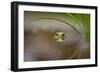 Beauty of Reflection-Kutub Uddin-Framed Photographic Print