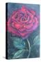 Beauty of the rose,  pastel-Margo Starkey-Stretched Canvas