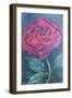 Beauty of the rose,  pastel-Margo Starkey-Framed Giclee Print