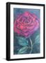 Beauty of the rose,  pastel-Margo Starkey-Framed Giclee Print