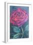 Beauty of the rose,  pastel-Margo Starkey-Framed Giclee Print