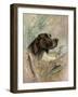 Beauty on Point-Ruane Manning-Framed Art Print