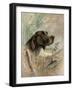 Beauty on Point-Ruane Manning-Framed Art Print