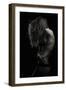 Beauty Or Beast-Martin Krystynek-Framed Premium Photographic Print