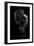 Beauty Or Beast-Martin Krystynek-Framed Premium Photographic Print