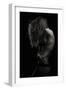 Beauty Or Beast-Martin Krystynek-Framed Premium Photographic Print