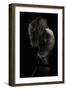 Beauty Or Beast-Martin Krystynek-Framed Photographic Print