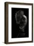 Beauty Or Beast-Martin Krystynek-Framed Photographic Print