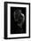 Beauty Or Beast-Martin Krystynek-Framed Photographic Print