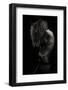 Beauty Or Beast-Martin Krystynek-Framed Photographic Print