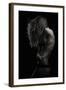 Beauty Or Beast-Martin Krystynek-Framed Photographic Print