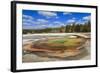 Beauty Pool-Eleanor Scriven-Framed Photographic Print