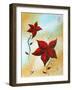 Beauty Redefined-Megan Aroon Duncanson-Framed Art Print