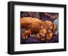 Beauty Rest-Connie R. Townsend-Framed Art Print