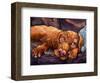 Beauty Rest-Connie R. Townsend-Framed Art Print