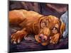 Beauty Rest-Connie R. Townsend-Mounted Art Print