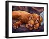 Beauty Rest-Connie R. Townsend-Framed Art Print