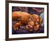 Beauty Rest-Connie R. Townsend-Framed Art Print