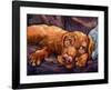 Beauty Rest-Connie R. Townsend-Framed Art Print