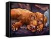 Beauty Rest-Connie R. Townsend-Framed Stretched Canvas