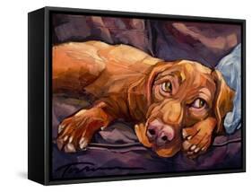 Beauty Rest-Connie R. Townsend-Framed Stretched Canvas