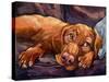 Beauty Rest-Connie R. Townsend-Stretched Canvas