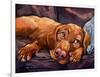 Beauty Rest-Connie R. Townsend-Framed Art Print