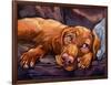 Beauty Rest-Connie R. Townsend-Framed Art Print