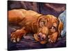 Beauty Rest-Connie R. Townsend-Stretched Canvas