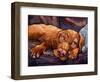 Beauty Rest-Connie R. Townsend-Framed Premium Giclee Print