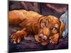 Beauty Rest-Connie R. Townsend-Mounted Premium Giclee Print