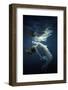 Beauty Space-Dmitry Laudin-Framed Photographic Print