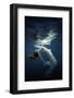 Beauty Space-Dmitry Laudin-Framed Photographic Print