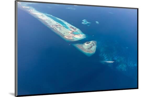 Photo, , large