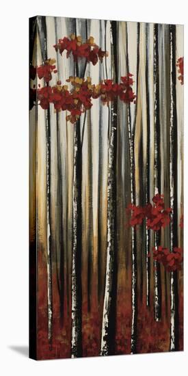 Beauty Within I-Oscar Soler-Stretched Canvas