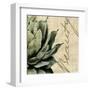 Beauty-Tandi Venter-Framed Art Print