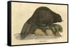 Beaver (1814)-null-Framed Stretched Canvas