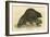 Beaver (1814)-null-Framed Art Print