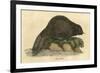 Beaver (1814)-null-Framed Premium Giclee Print