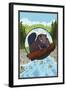 Beaver and River-Lantern Press-Framed Art Print