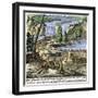 Beaver-Built Dams near Niagara Falls. Start 1700. Colouring Engraving of the 19Th Century.-null-Framed Giclee Print