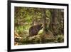 Beaver Closeup in the Forest-null-Framed Premium Giclee Print