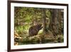 Beaver Closeup in the Forest-null-Framed Premium Giclee Print